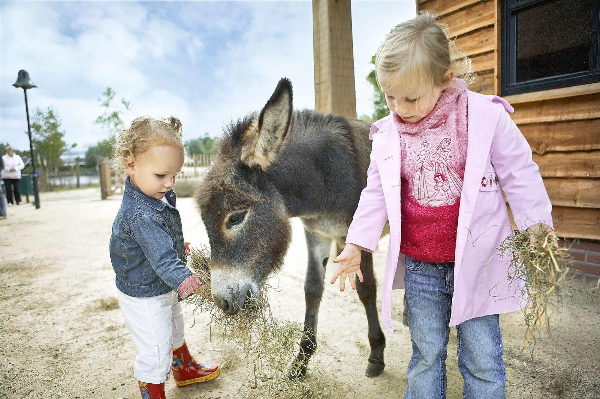 Center Parcs Huttenheugte Drenthe-Overijssel Dalen エクステリア 写真